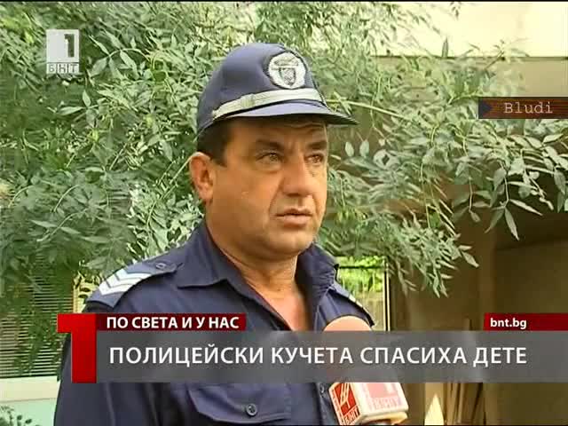 Кучета спасиха 3-годишно дете