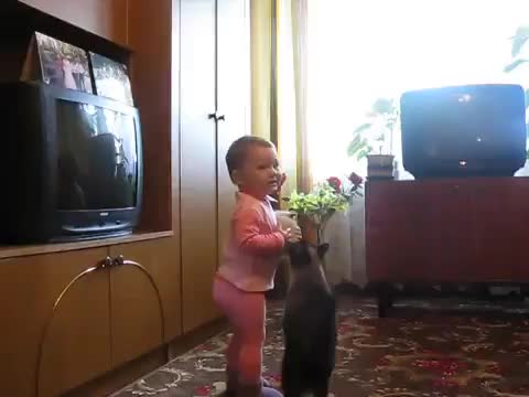 Котката си скри рожбата