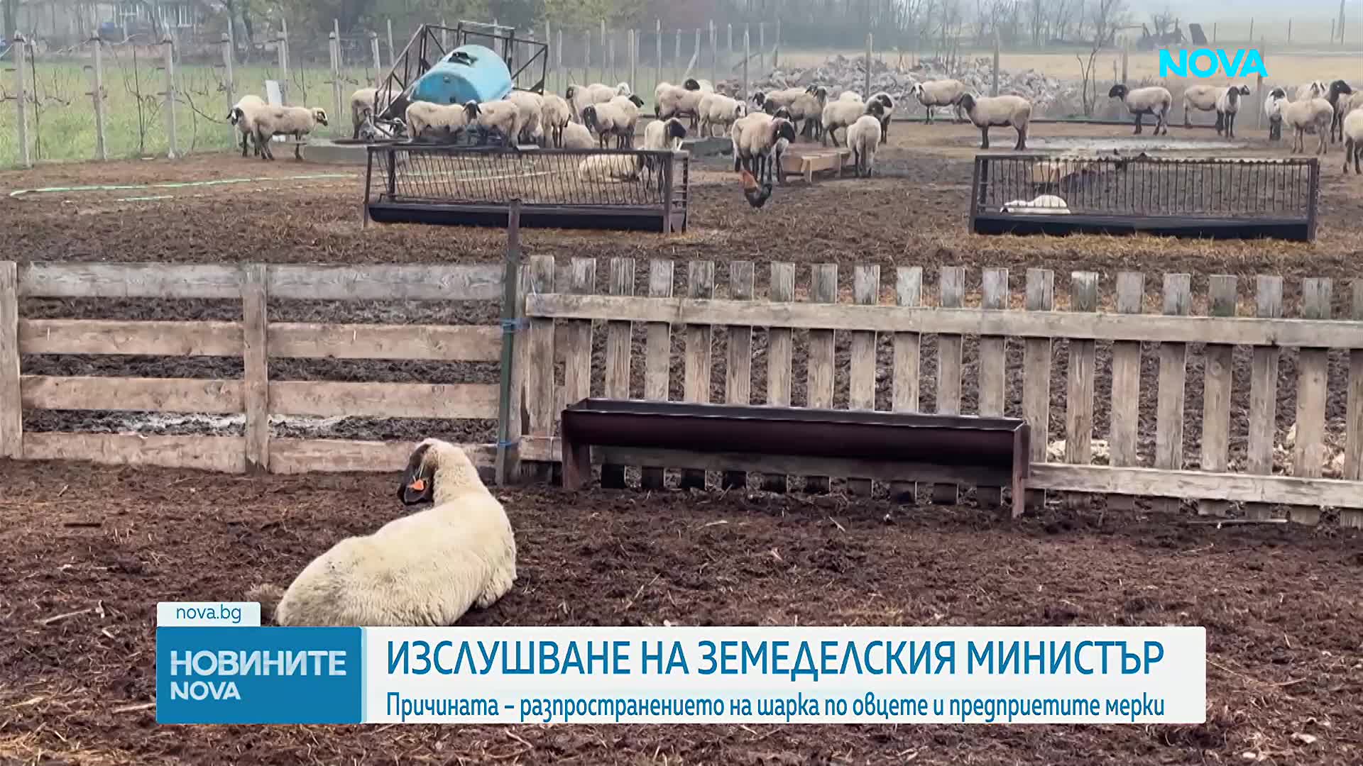 Новините на NOVA (24.09.2026 - 8.00)