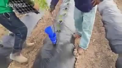 Земеделец на годината