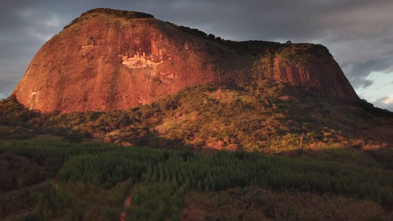 Изгубената гора | Късометражен документален филм