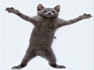 Котка танцува мн яко