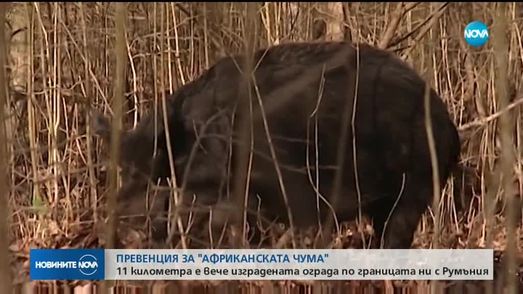 11 км е вече изградената ограда по границата с Румъния
