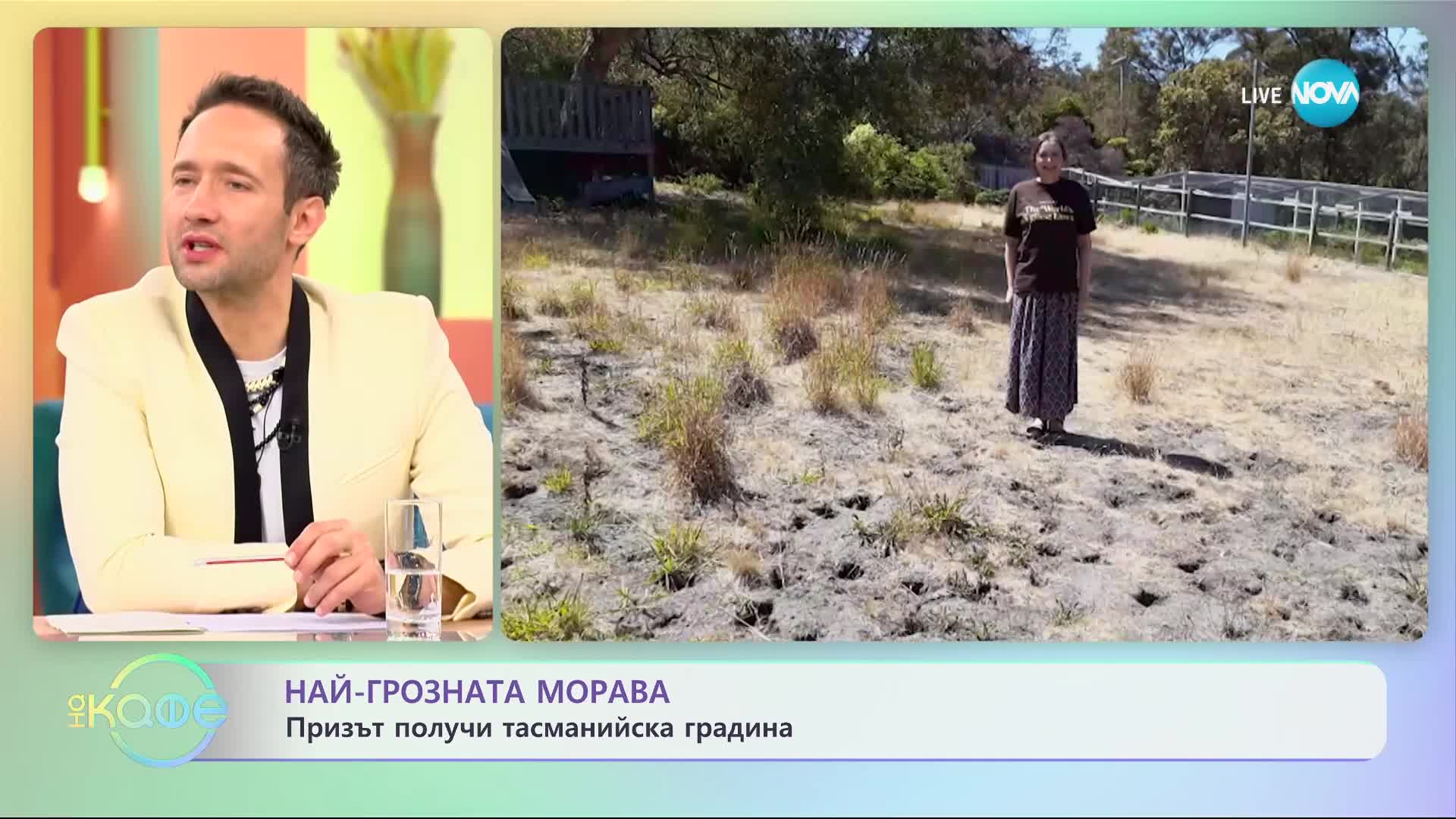 Кой спечели конкурса за най-грозна морава