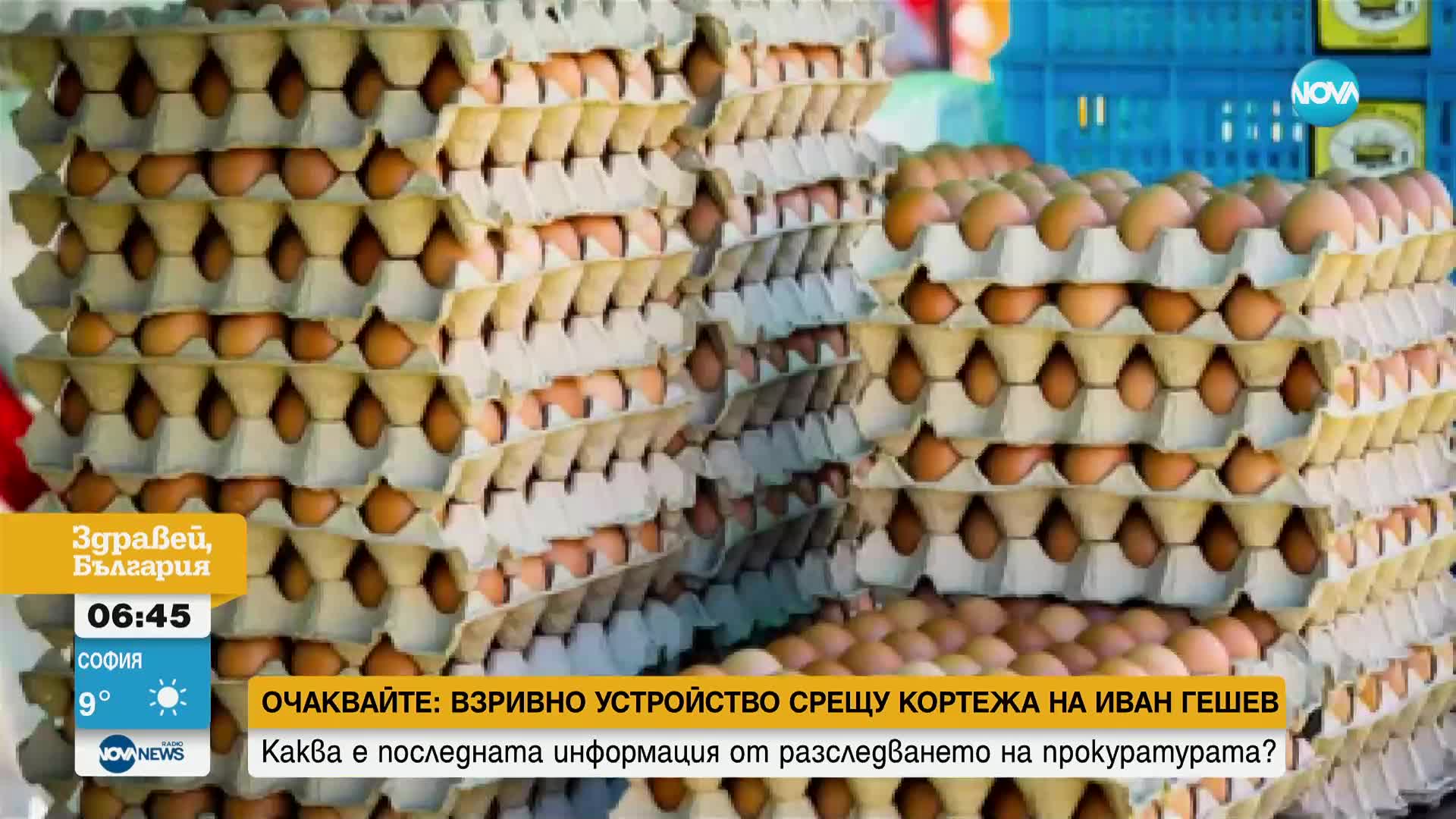 Приготвиха гигантски омлет от 8400 яйца 25 кг наденица на фестивал в Нова Каледония