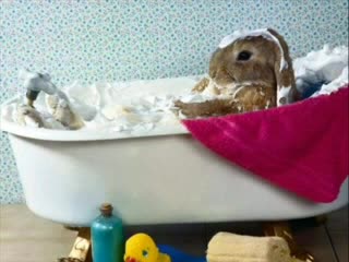 Приqтел...за Цял Живот!