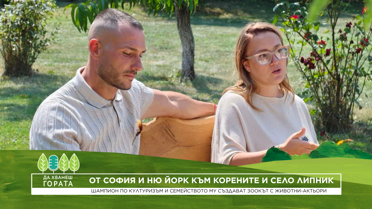 Да хванеш гората | От София и Ню Йорк обратно към корените и село Липник | 6 септ. 2026