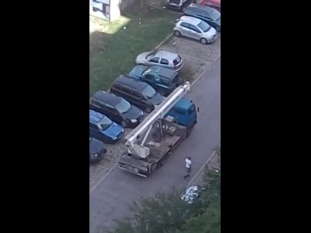 Безразборна сеч на здрави дървета в София