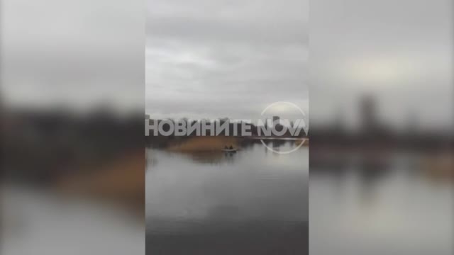 „Моята новина”: Пожарникари с лодка спасяват куче от езеро в София