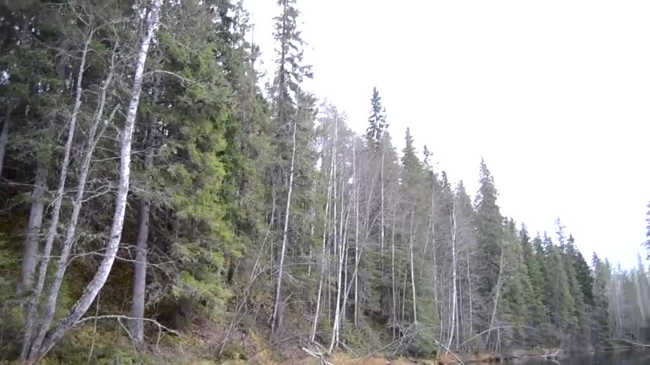 Скок с мотор в езеро