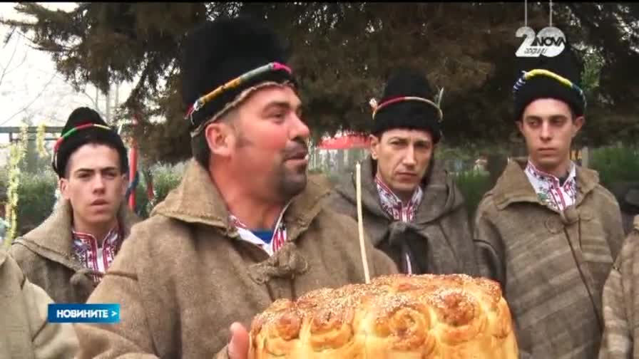 Най-добрите коледари се събират на състезание