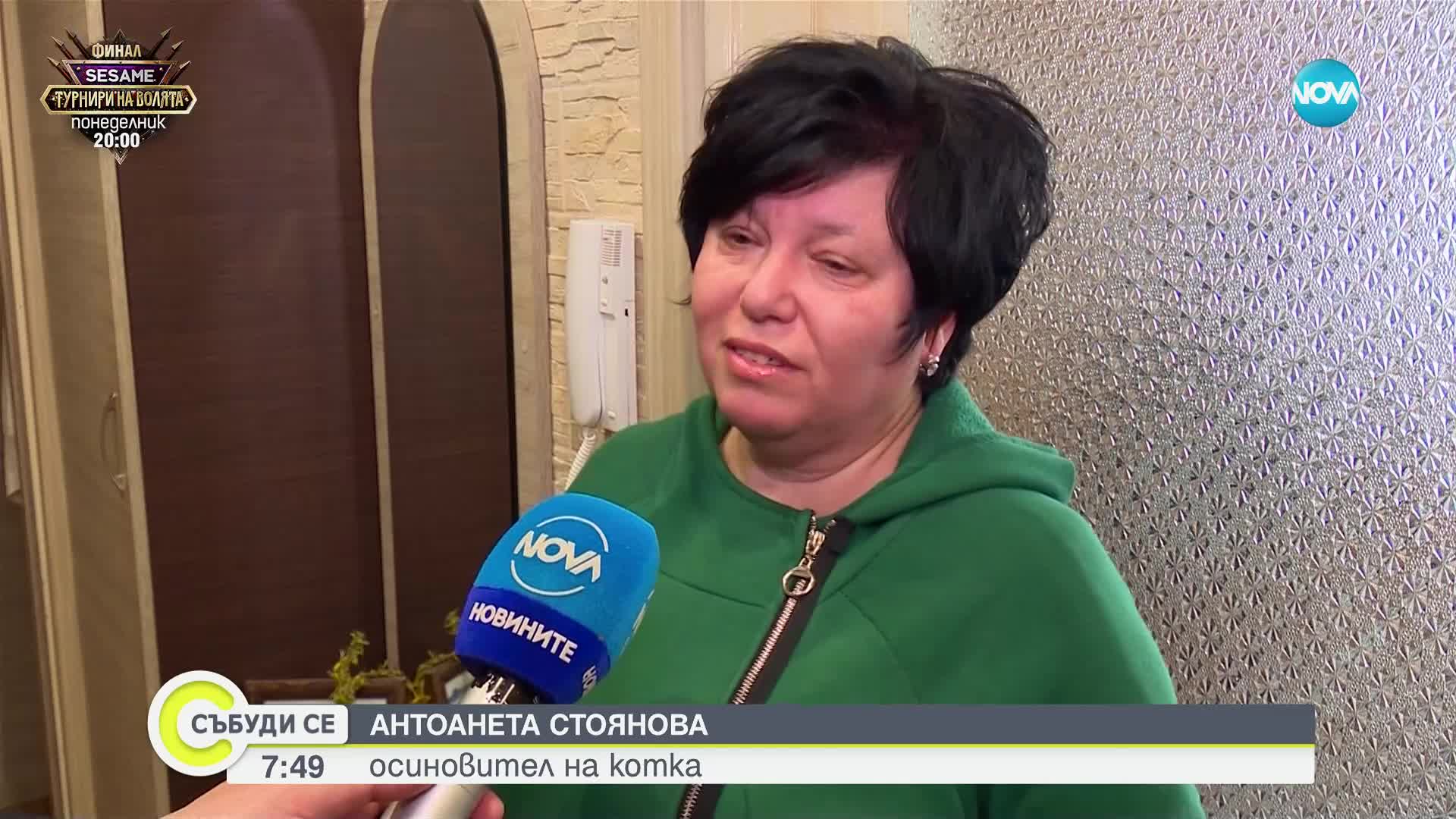 За десетилетие броят на бездомните котки във Варна е нараснал десетократно