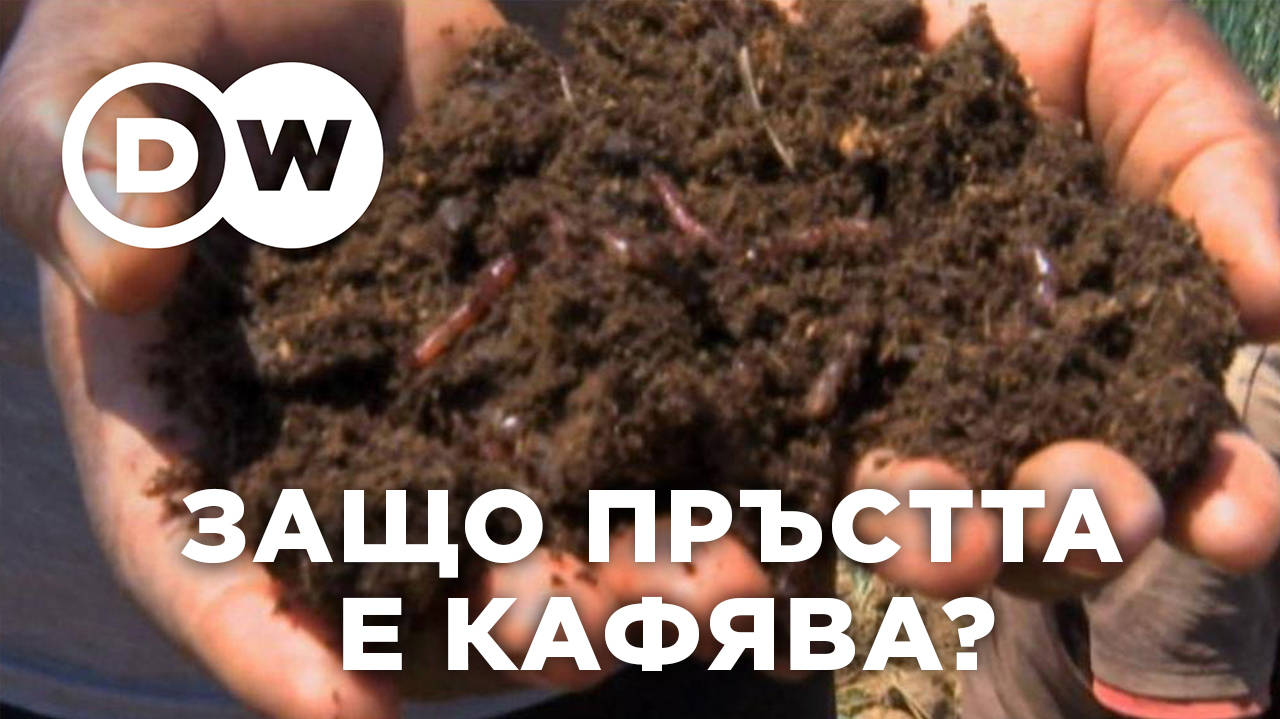 Защо почвената покривка на Земята е кафява?