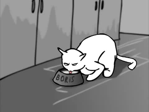 Типичен ден на котката