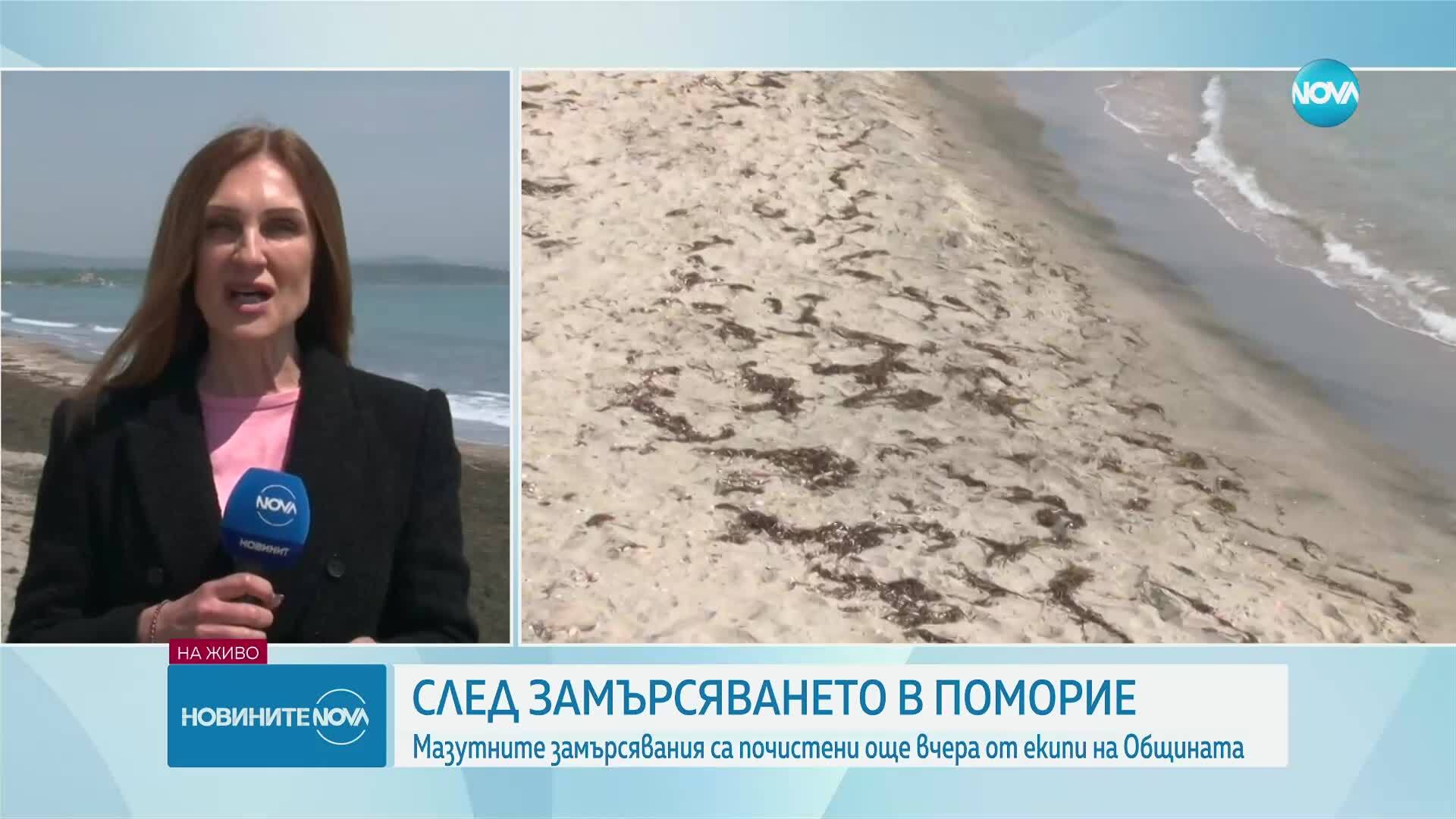 Има ли замърсяване по плажа в Поморие и какви мерки са предприели властите