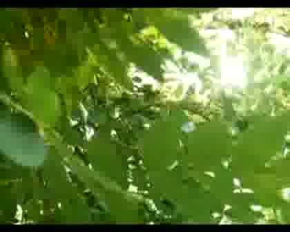 Hakki - Anam Anam 6