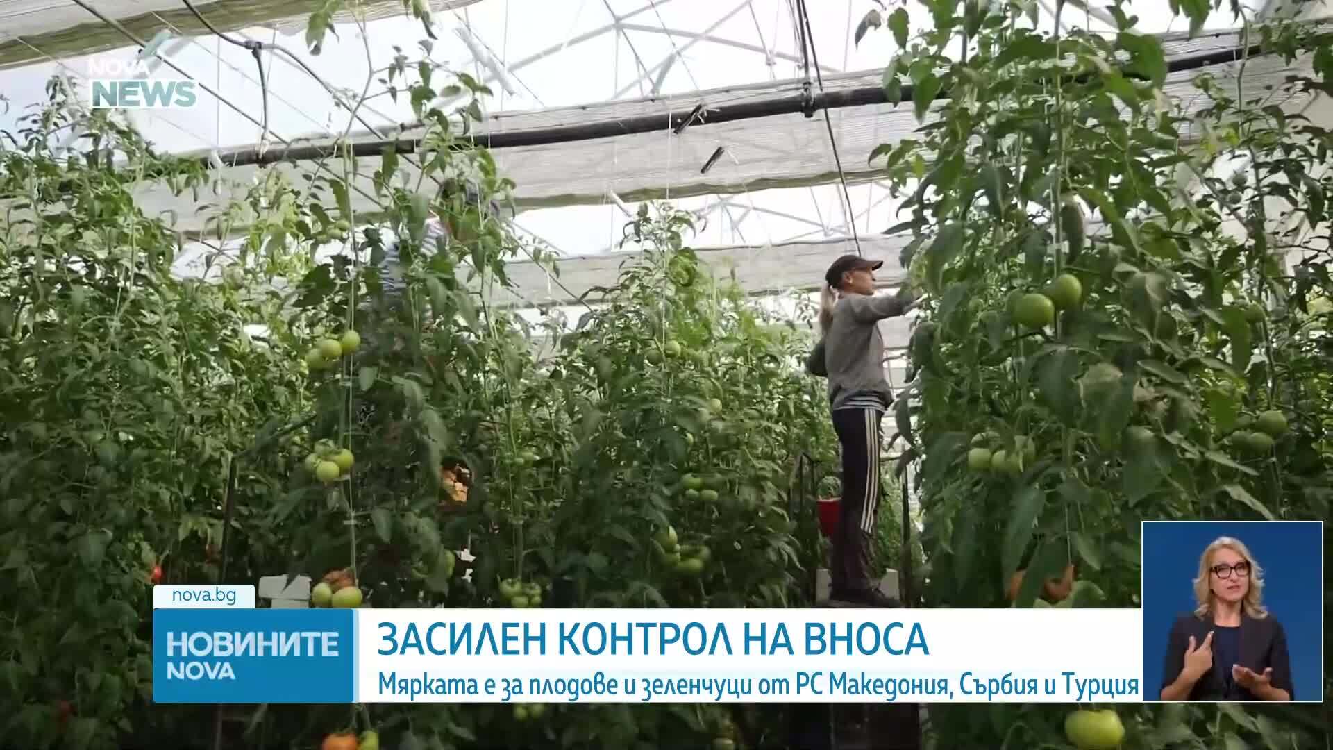Засилен контрол на вноса на плодове и зеленчуци от РС Македония, Сърбия и Турция