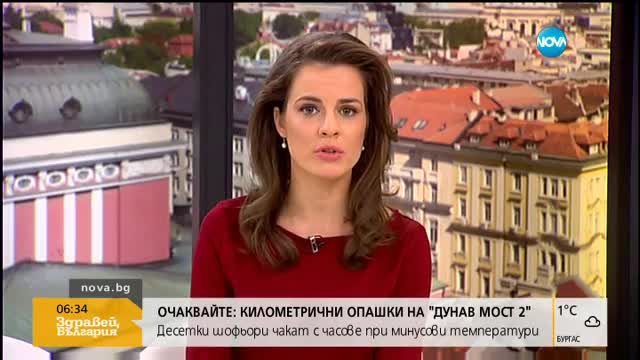 Извадиха 3 малки кученца от затрупания от лавина хотел