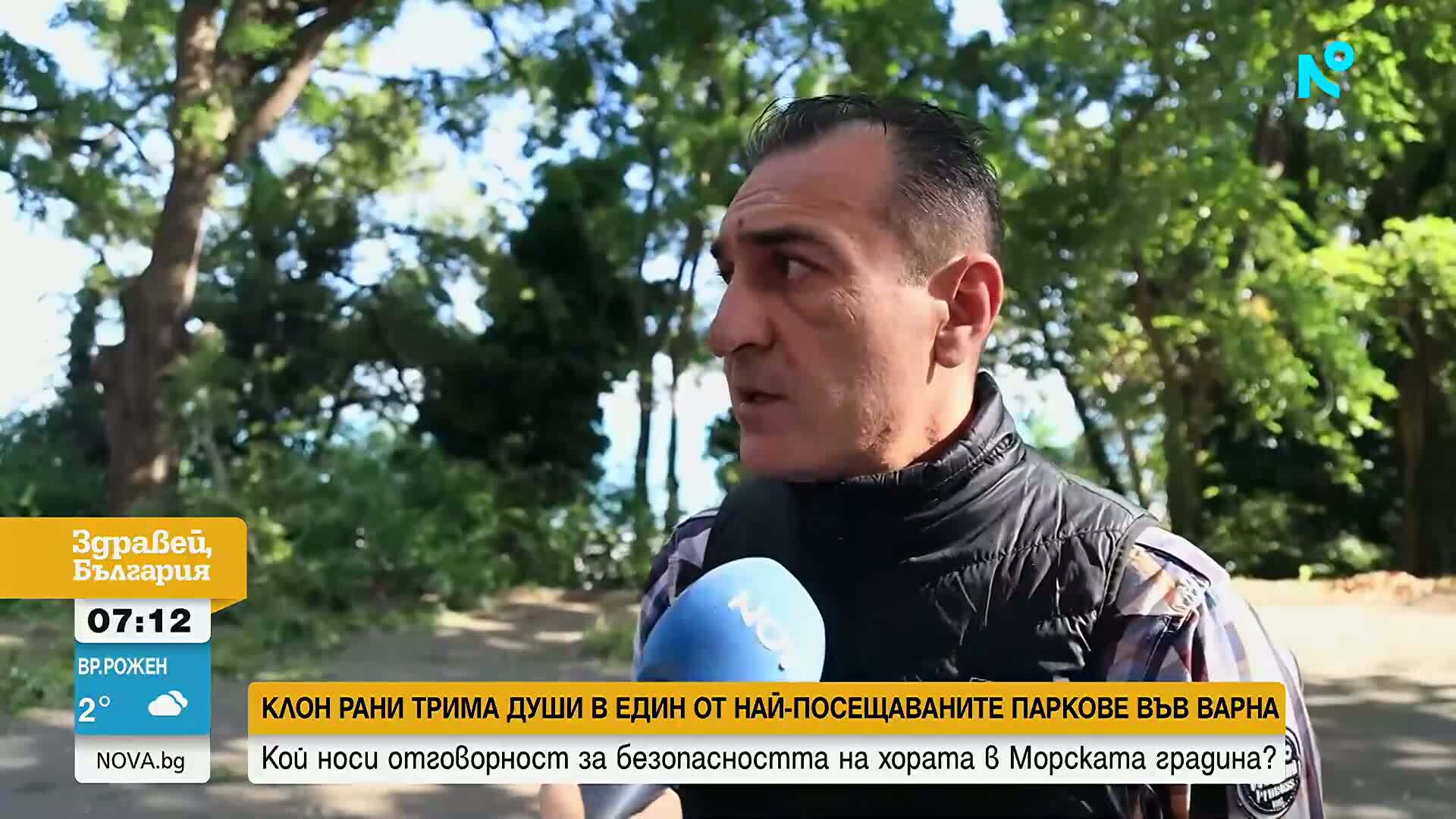 Община Варна след инцидента: Невъзможно е да предвидим падането на зелени клони