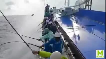 Е това е професионален риболов!