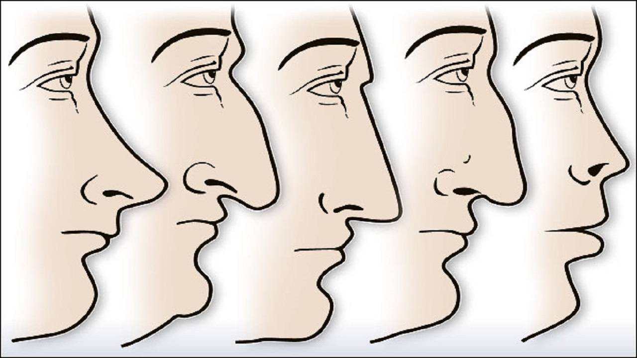 Разкрийте човека по носът му! - 5 типа носове, които издават характера ви!