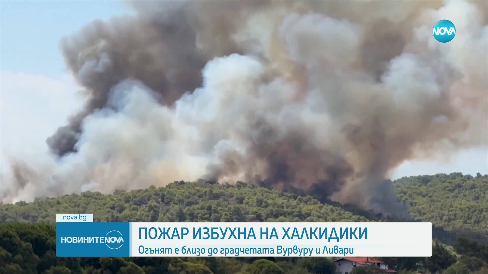Новините на NOVA (02.07.2025 - централна емисия)