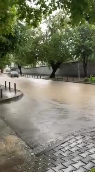 От "Моята новина": Паднали дървета в Стара Загора