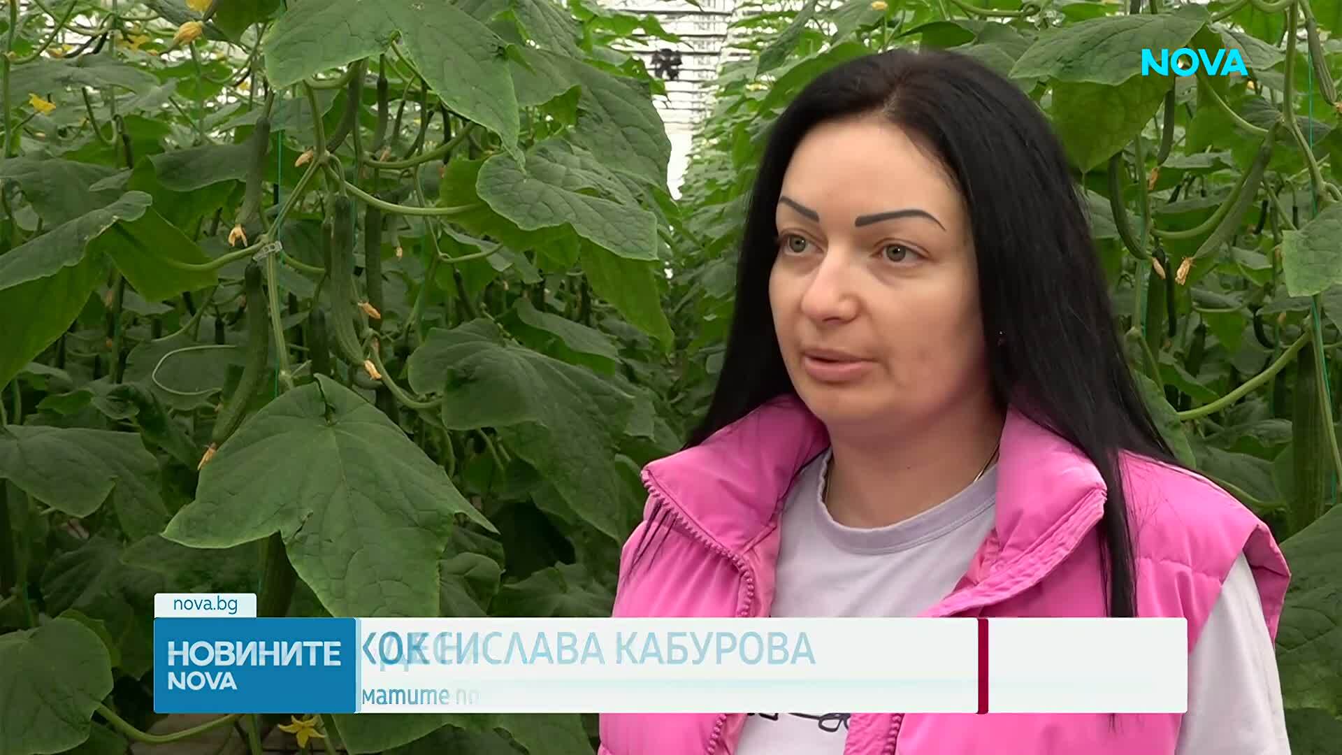 Скок на цените на зеленчуците