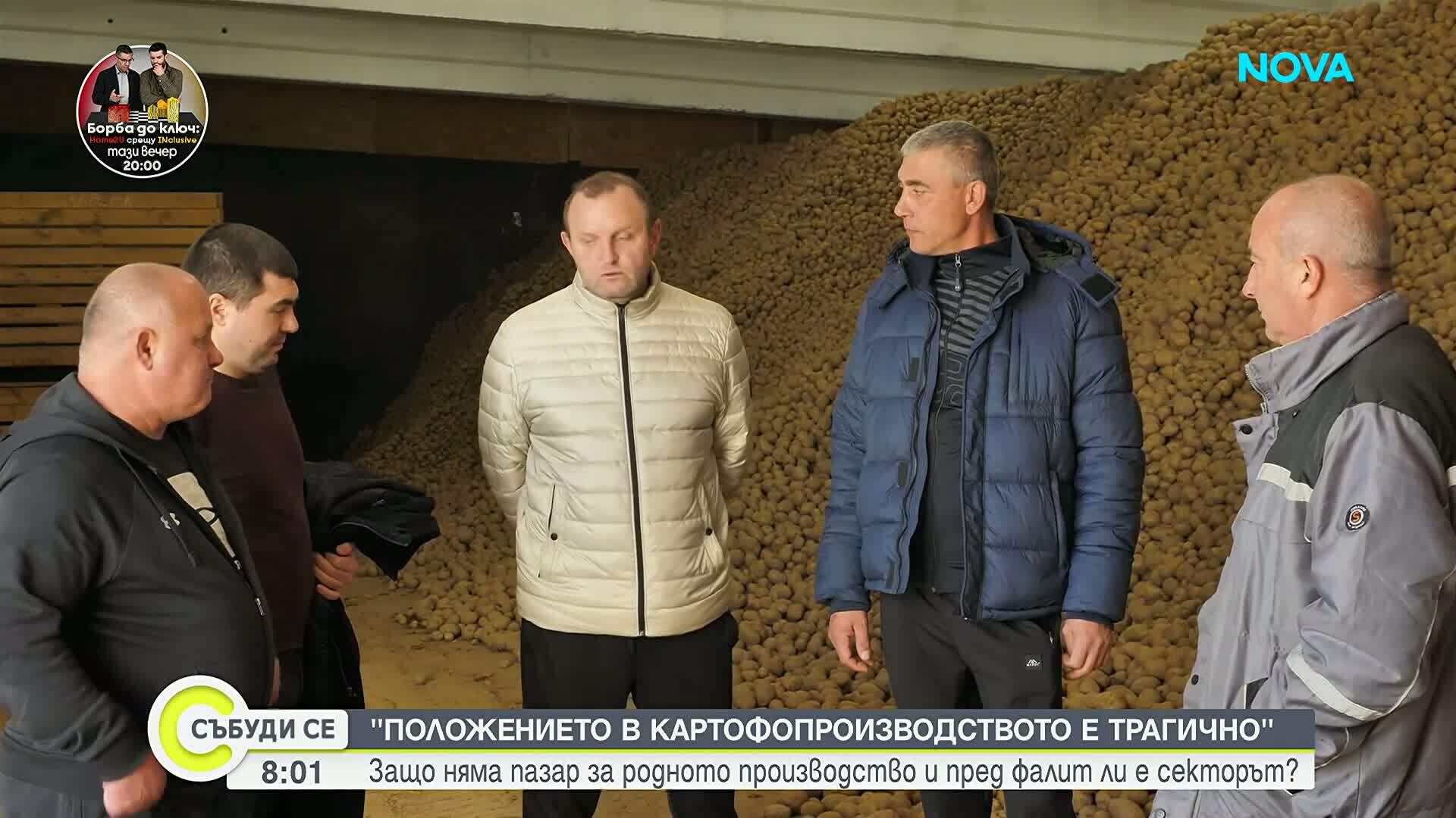 Производители на картофи се оплакват от тежка година