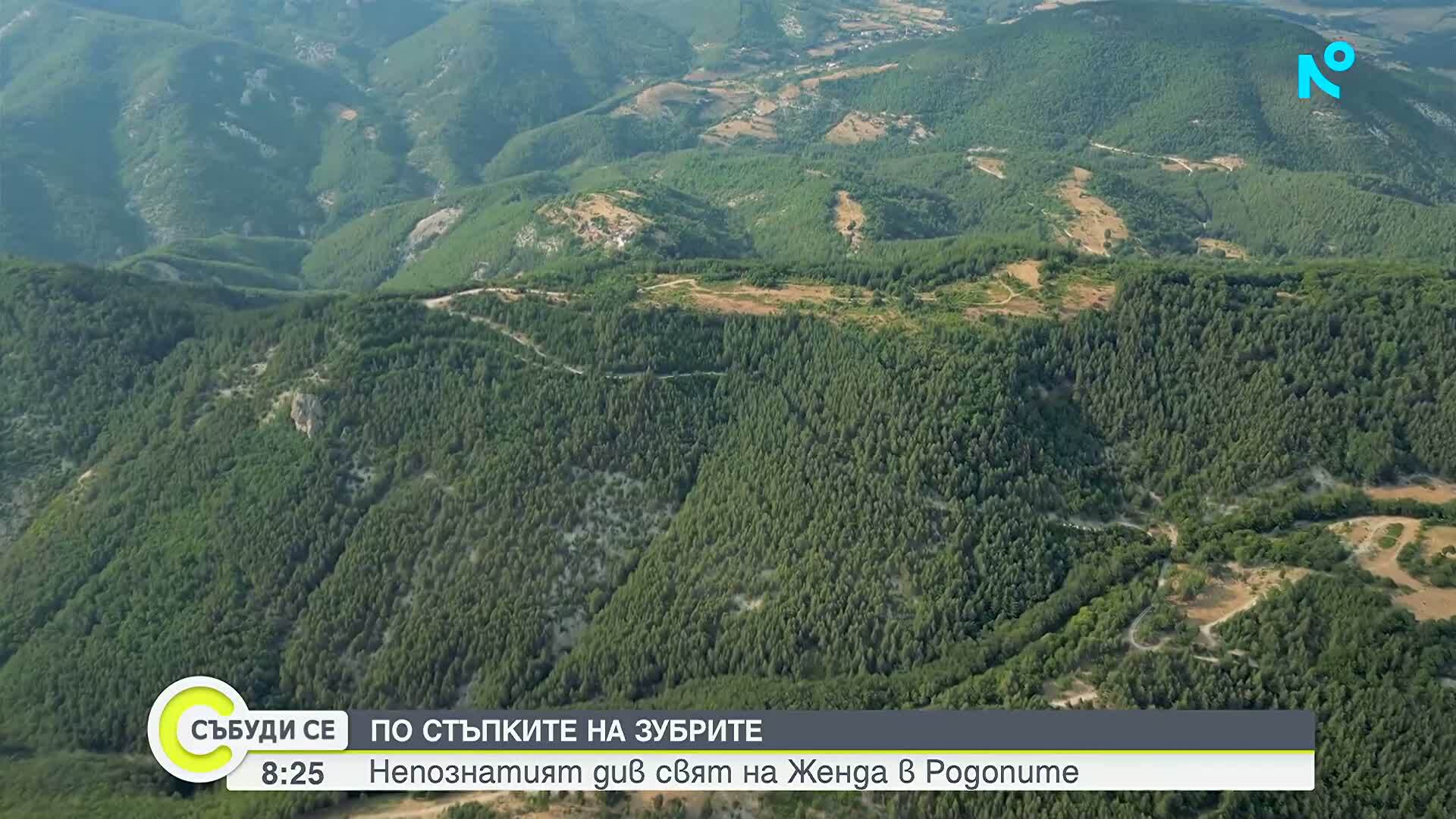 "Дотам и обратно": Дивият свят на Женда в Родопите
