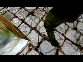 Counter Strike Deagle Power By Swp