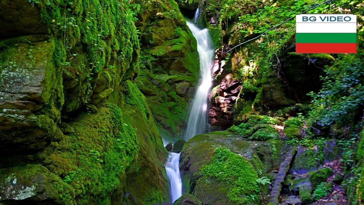 С приятели и пеперуди към Лешнишкия водопад