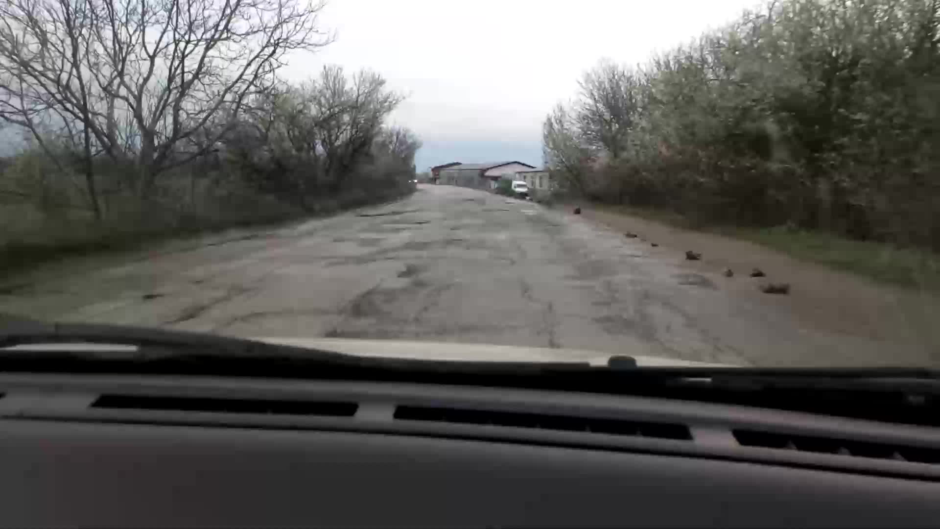 Пътищата на европейска България
