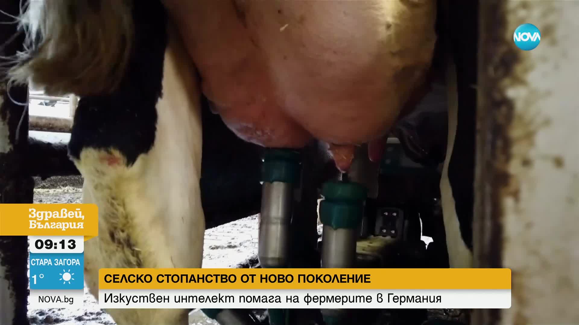 Изкуствен интелект помага на фермерите в Германия