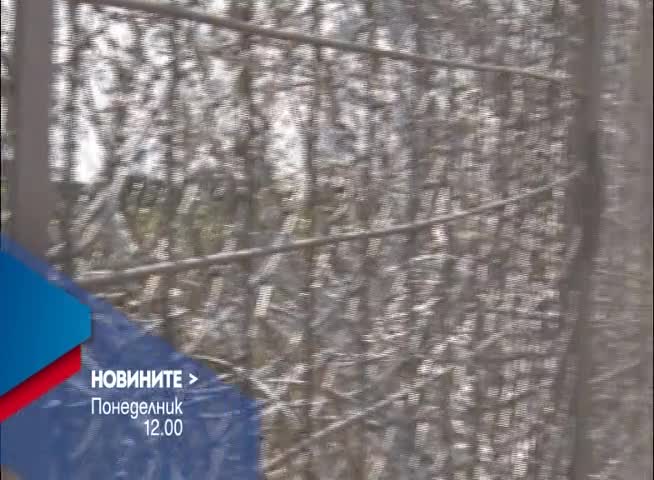 Новините на Нова – обедна емисия на 6 юни