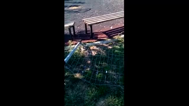 "Моята новина": Детска площадка