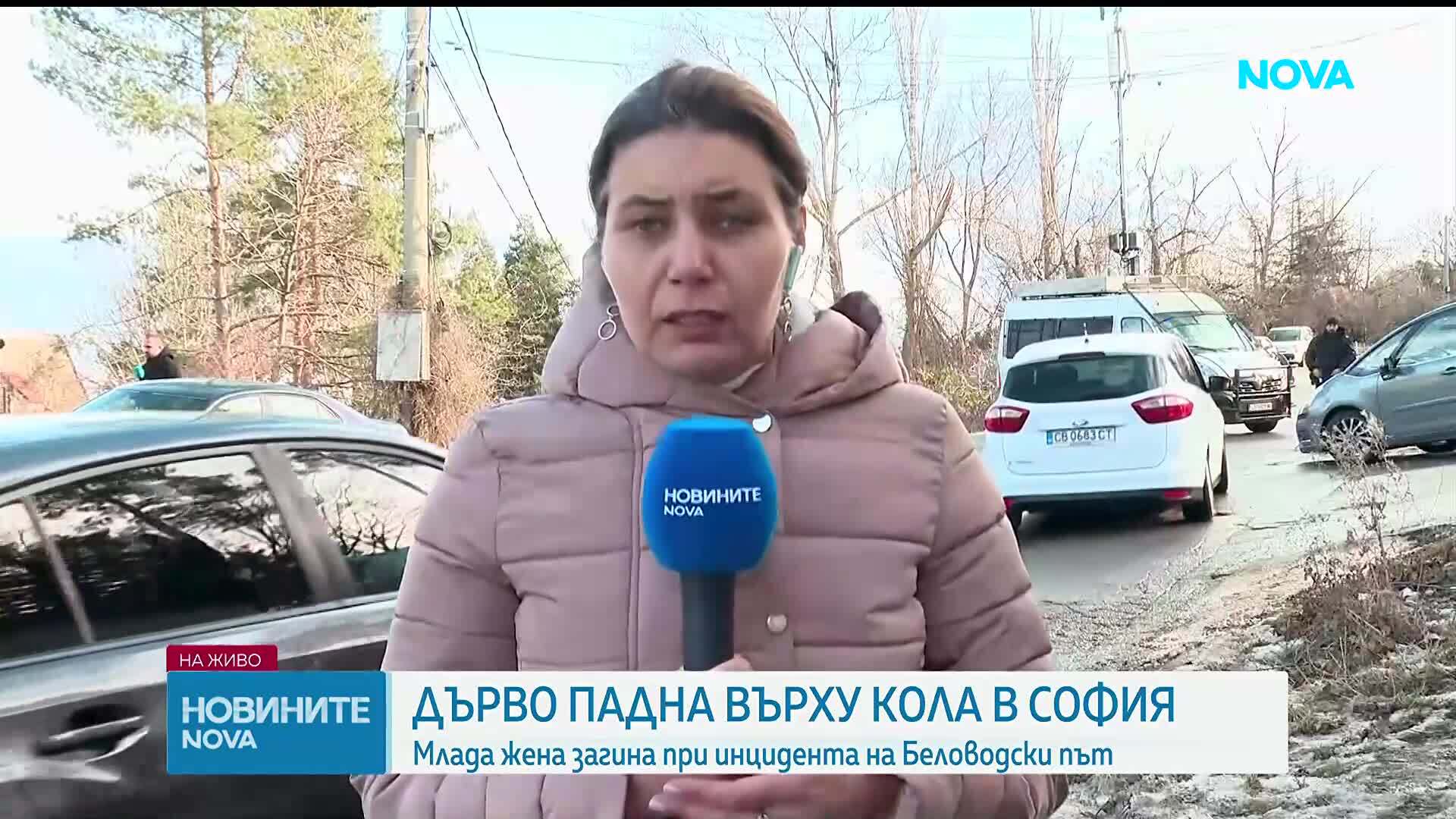 Бурните ветрове в София отнеха живота на една жена