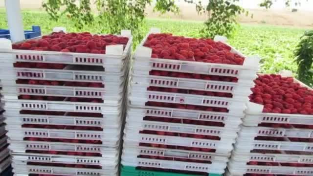 Инвестиция със сладък вкус