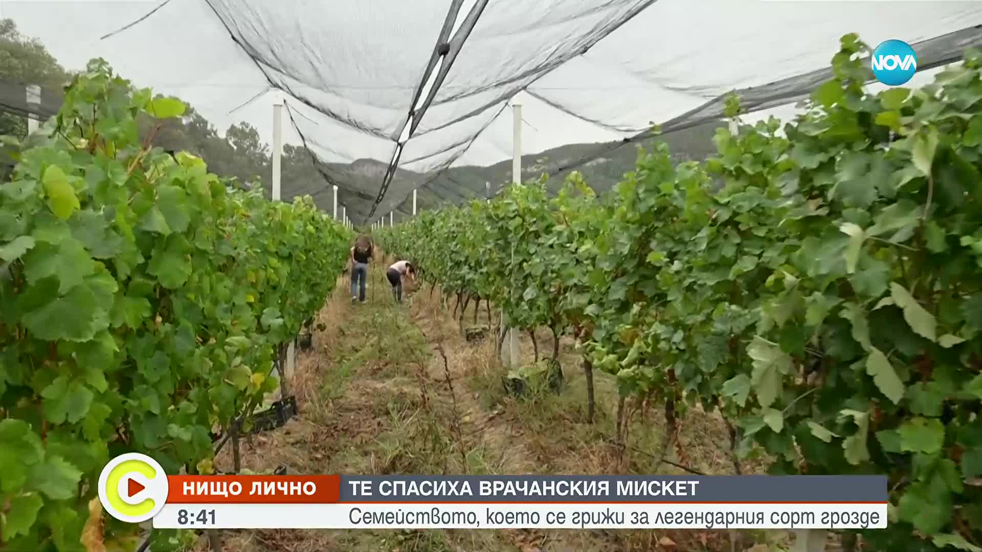 "Нищо лично": Семейството, което спаси врачанския мискет