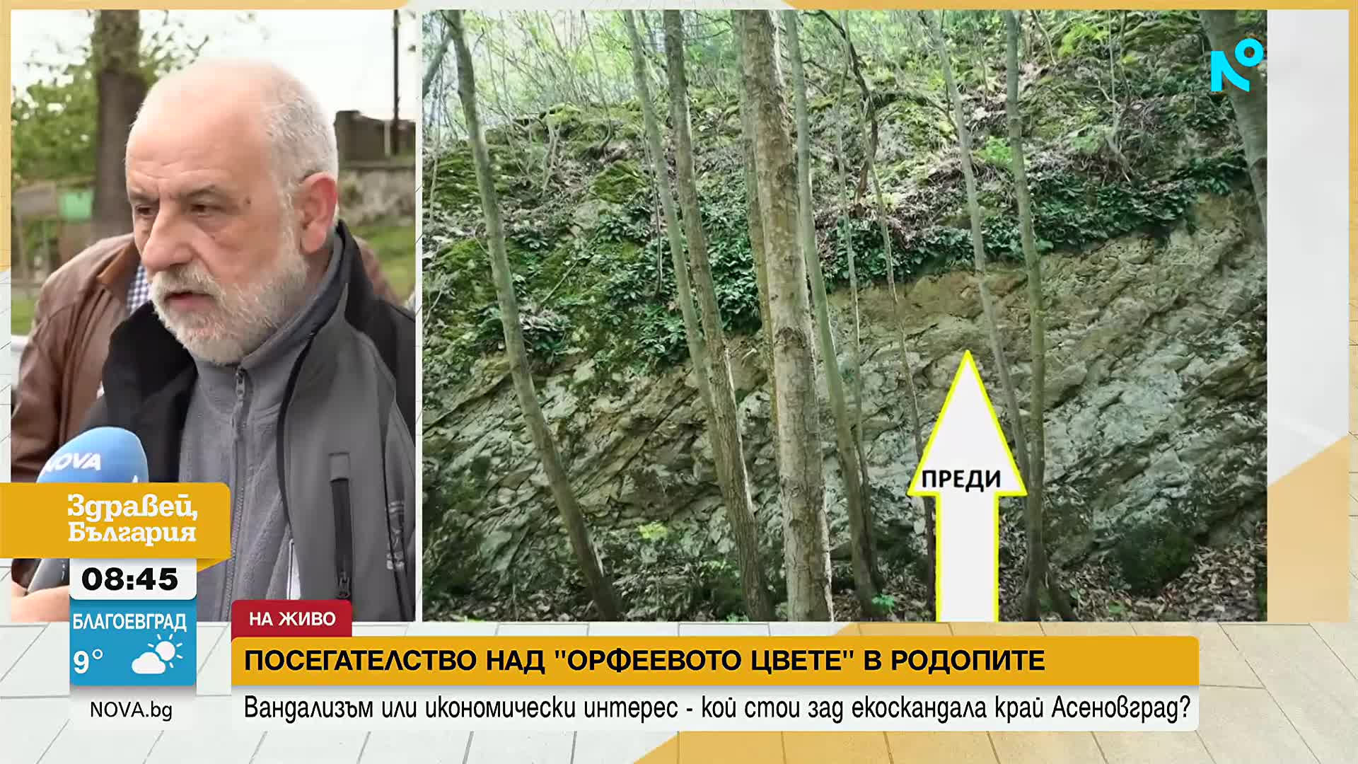 Посегателство над „Орфеевото цвете“ в Родопите: Кой унищожи над 400 защитени растения край Асеновгра
