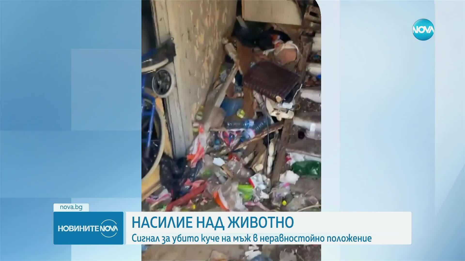 Жители на Асеновград сигнализират за системен тормоз над бездомен мъж и кучето му