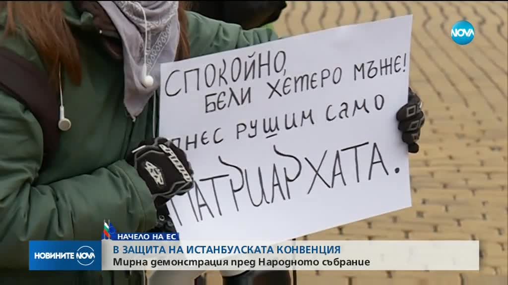 Мирна демонстрация пред НС в защита на Истанбулската конвенция
