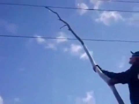 Само идиот би направил това
