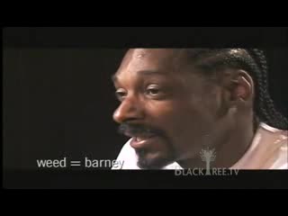 Snoop Dogg Говори За Сериала Weed