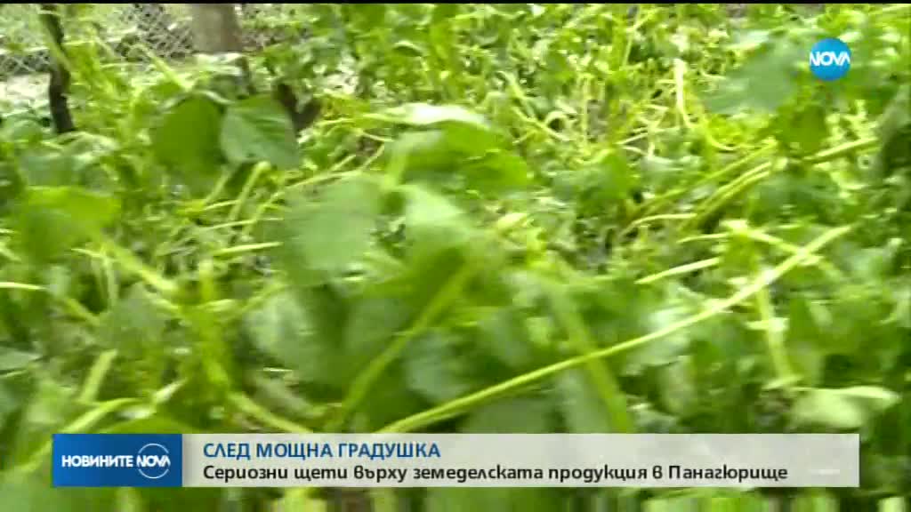 Новините на NOVA (25.05.2018 - следобедна емисия)