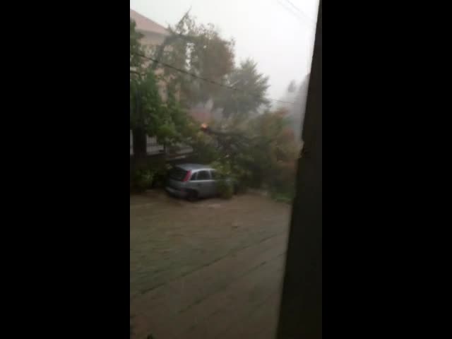 "Моята новина": Бурята в София