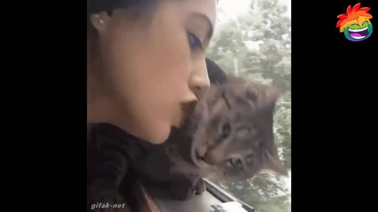 Всички полудяват от тези изцепки - Много смях
