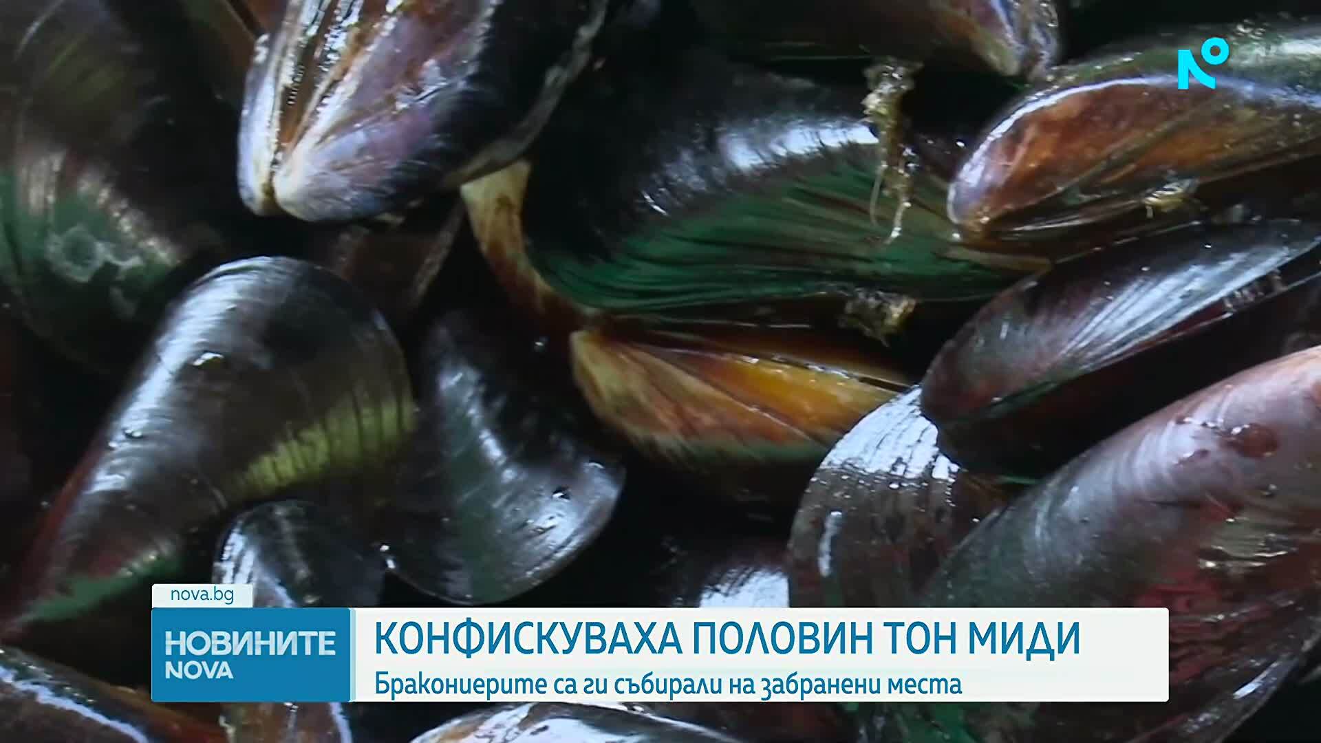 Иззеха над половин тон незаконно уловена черна мида и забранени уреди за риболов