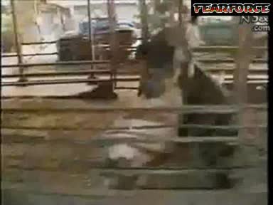 Тя Говори, А Прасетата Правят Секс