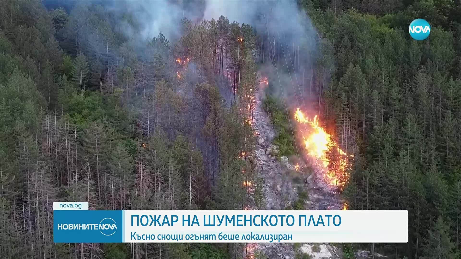 Новините на NOVA (08.08.2025 - следобедна емисия)